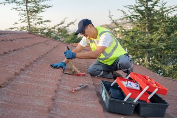 Best Roof Repair Services  in South Vacherie, LA