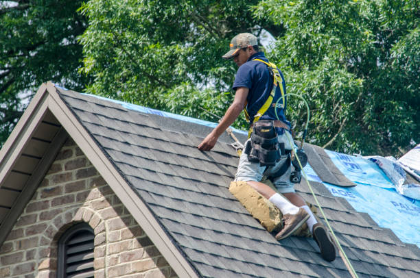 Best Gutter Installation and Roofing  in South Vacherie, LA