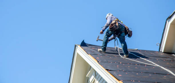 Best Roof Repair Services  in South Vacherie, LA